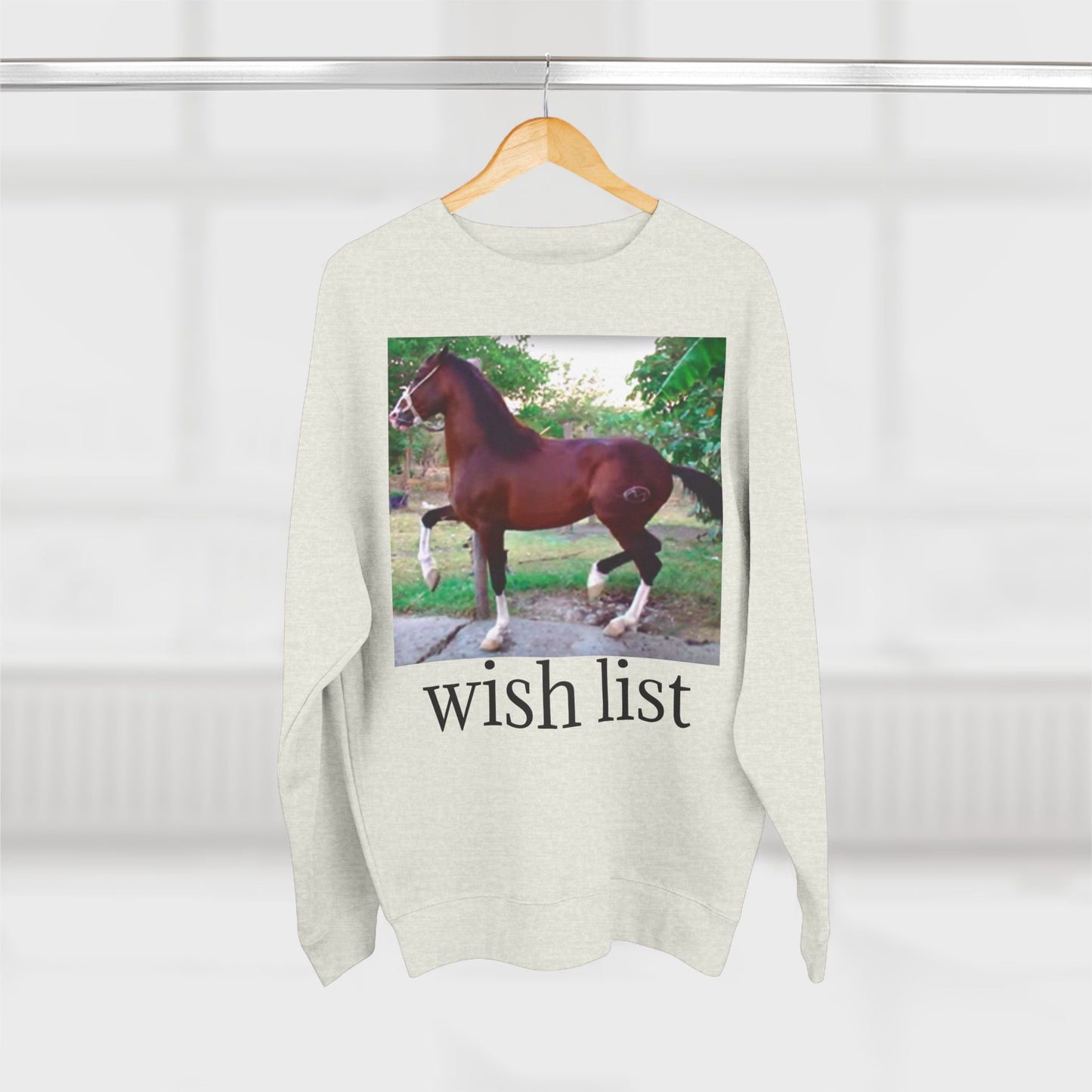 Whimsical Horse Sweatshirt for Animal Lovers, Cozy Crewneck, Gift for Equestrian Friends, Birthday Present, Funny Wish List Apparel