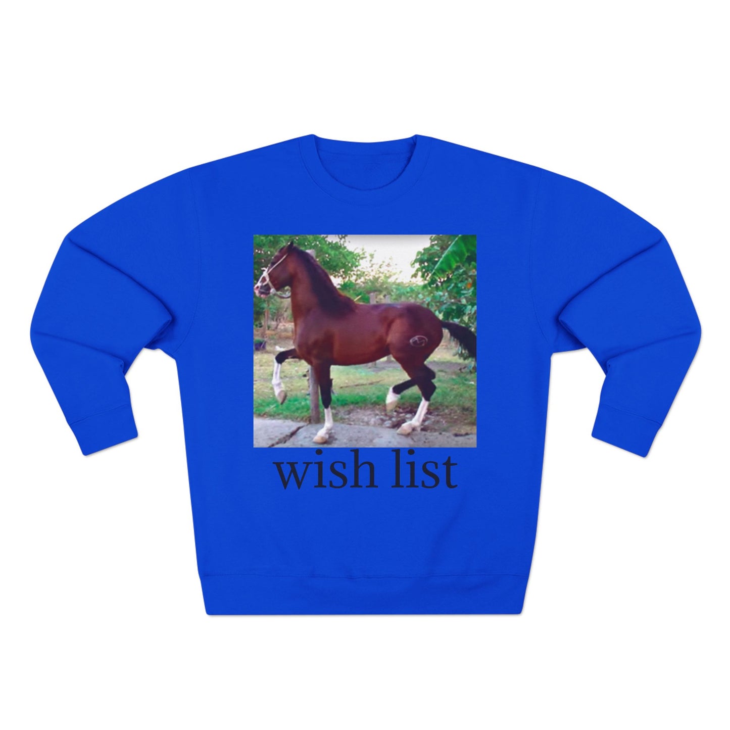 Whimsical Horse Sweatshirt for Animal Lovers, Cozy Crewneck, Gift for Equestrian Friends, Birthday Present, Funny Wish List Apparel