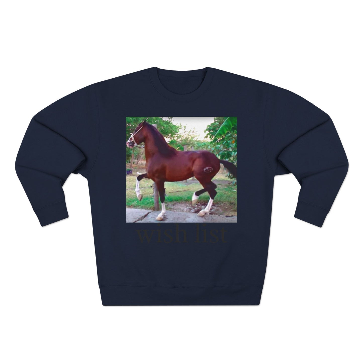 Whimsical Horse Sweatshirt for Animal Lovers, Cozy Crewneck, Gift for Equestrian Friends, Birthday Present, Funny Wish List Apparel
